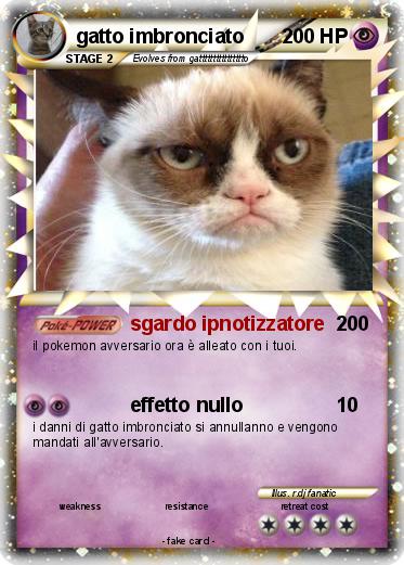 Pokemon gatto imbronciato