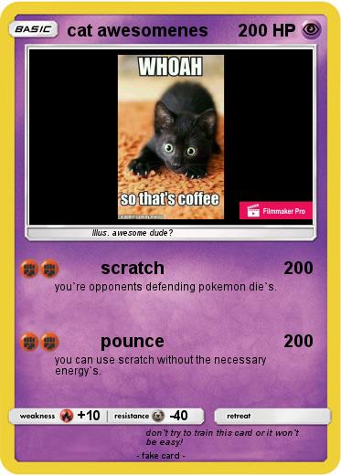 Pokemon cat awesomenes
