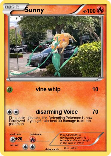 Pokemon Sunny