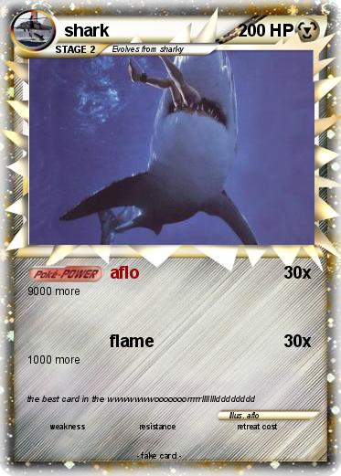 Pokemon shark