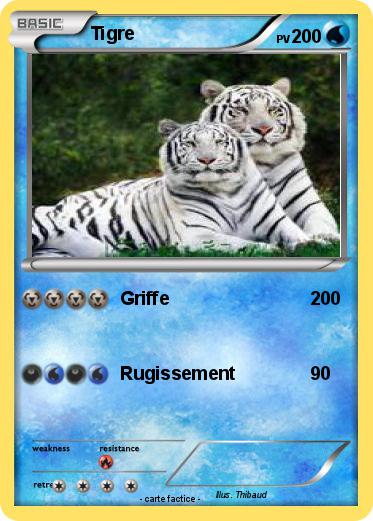 Pokemon Tigre