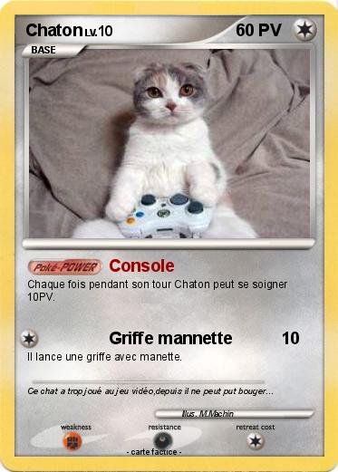 Pokemon Chaton