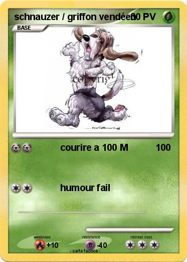 Pokemon schnauzer / griffon vendéen