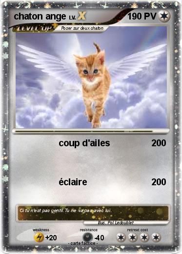 Pokemon chaton ange