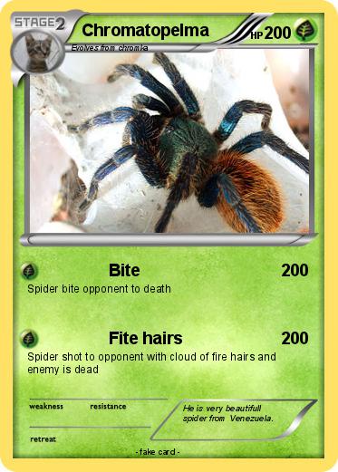 Pokemon Chromatopelma