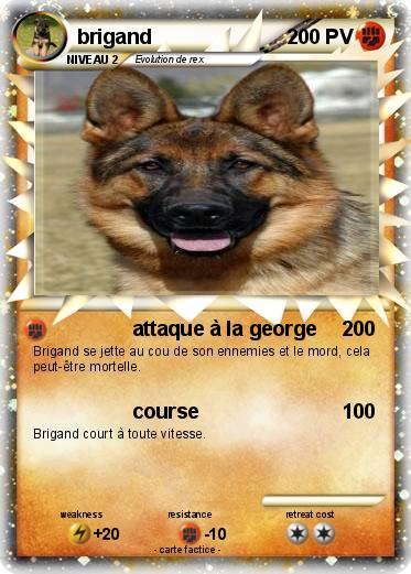 Pokemon brigand