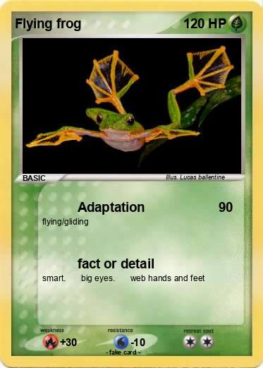 Pokemon Flying frog