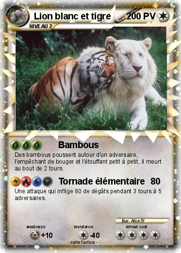 Pokemon Lion blanc et tigre