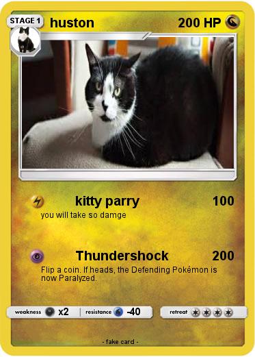 Pokemon huston