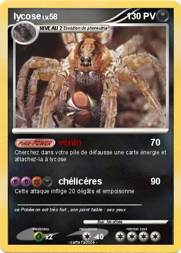 Pokemon lycose