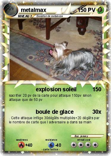 Pokemon metalmax