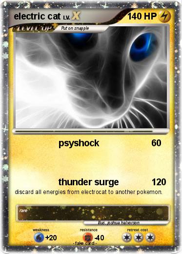 Pokemon electric cat
