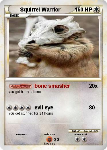 Pokemon Squirrel Warrior
