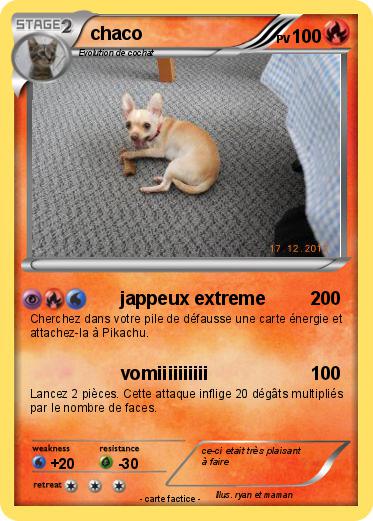 Pokemon chaco