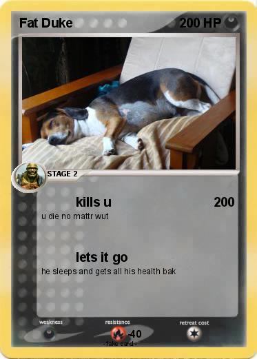 Pokemon Fat Duke