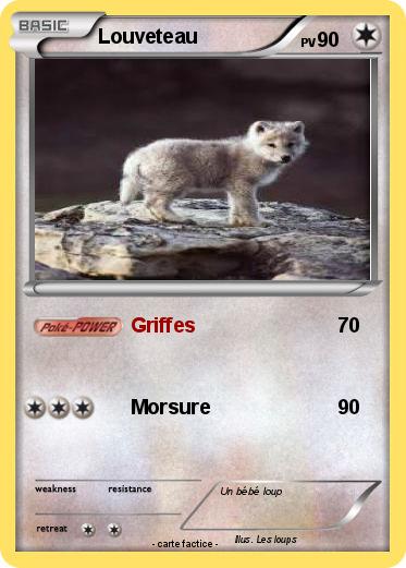 Pokemon Louveteau