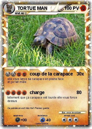 Pokemon TORTUE MAN