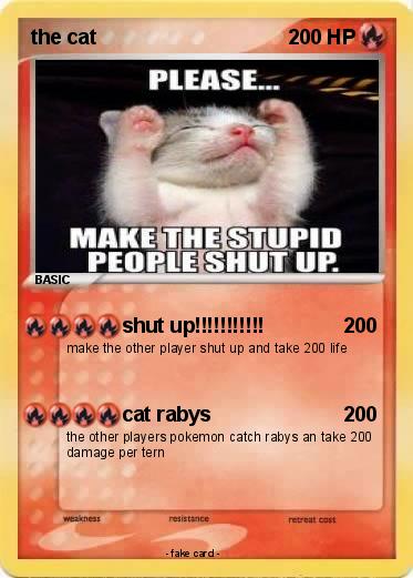 Pokemon the cat