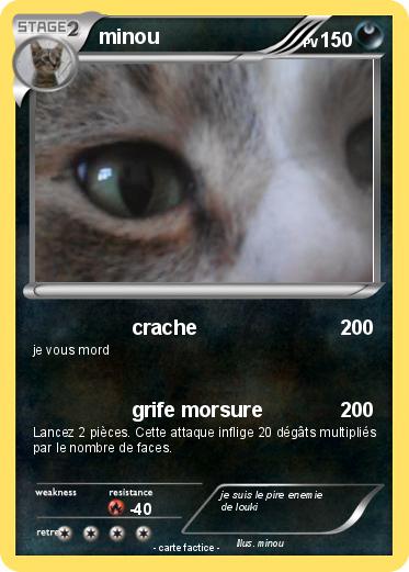 Pokemon minou