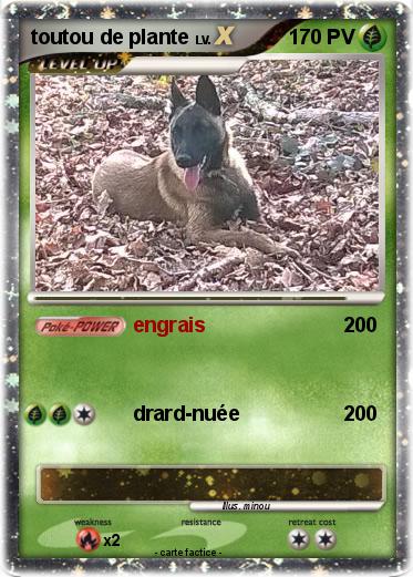 Pokemon toutou de plante