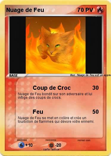 Pokemon Nuage de Feu