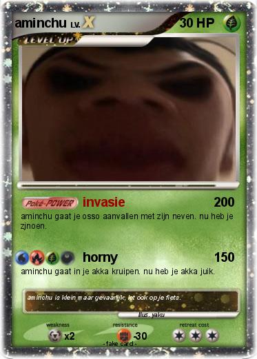Pokemon aminchu