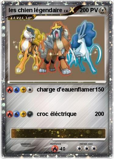 Pokemon les chien légendaire