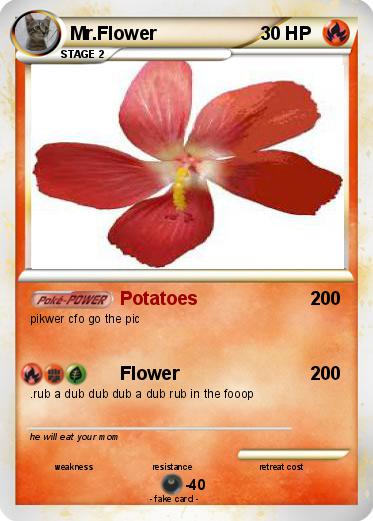 Pokemon Mr.Flower