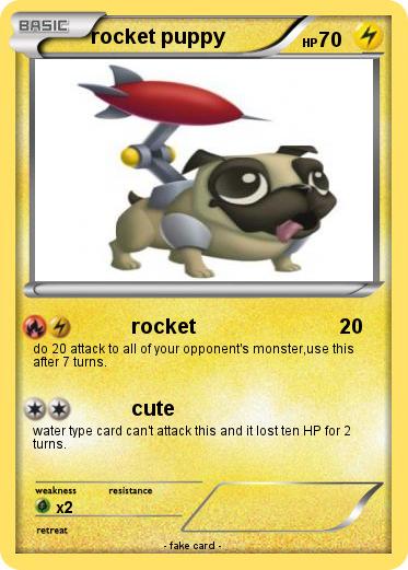 Pokemon rocket puppy