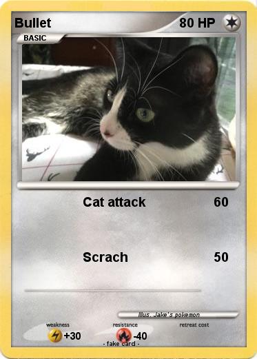 Pokemon Bullet