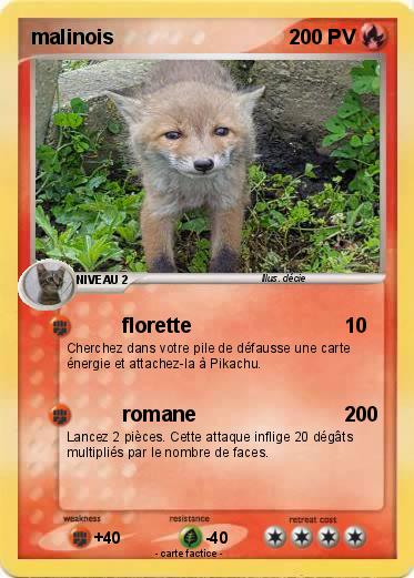 Pokemon malinois