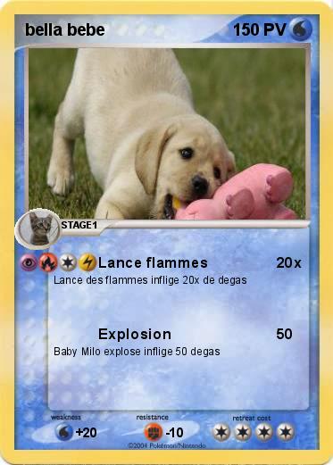 Pokemon bella bebe