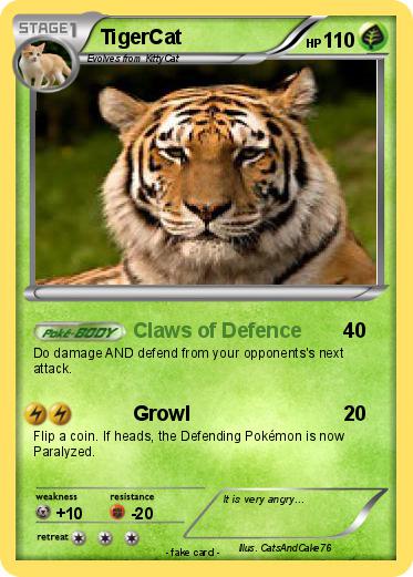 Pokemon TigerCat