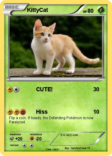 Pokemon KittyCat