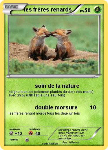 Pokemon les frères renards