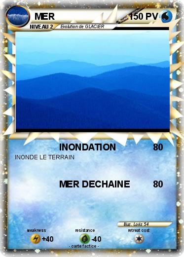 Pokemon MER