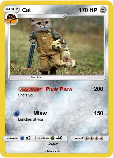 Pokemon Cat