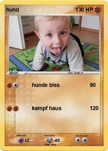 Pokemon hund