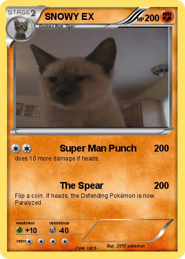 Pokemon SNOWY EX
