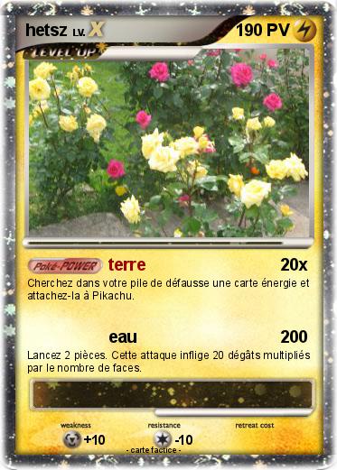 Pokemon hetsz