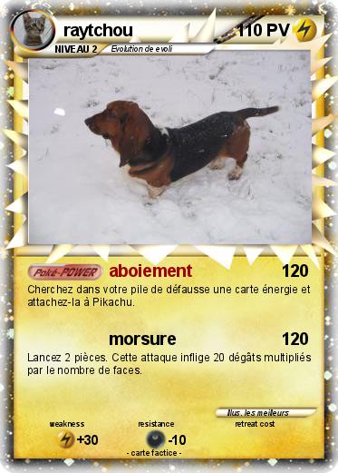 Pokemon raytchou