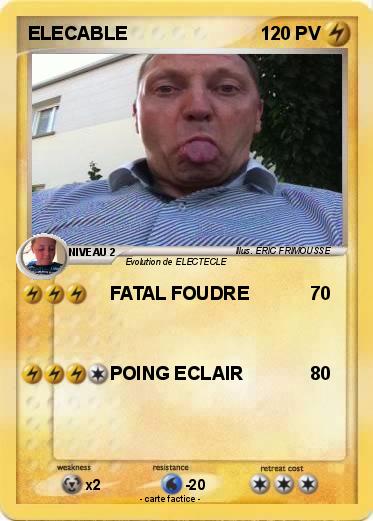 Pokemon ELECABLE