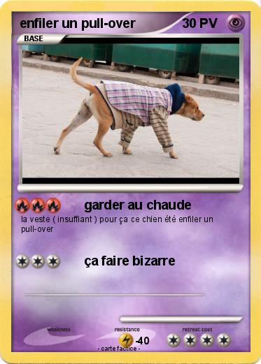 Pokemon enfiler un pull-over