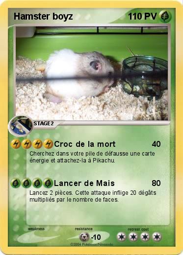 Pokemon Hamster boyz