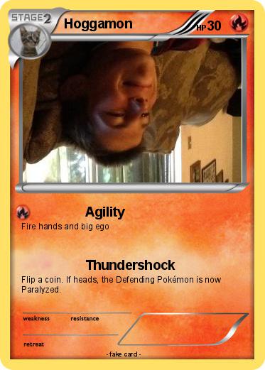 Pokemon Hoggamon
