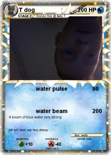 Pokemon T dog
