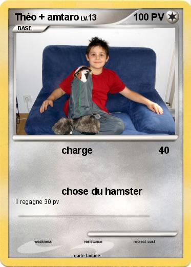 Pokemon Théo + amtaro