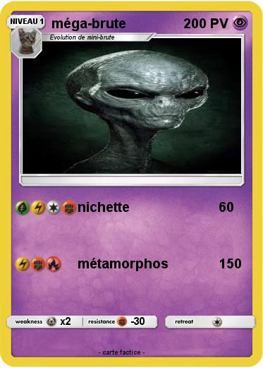 Pokemon méga-brute