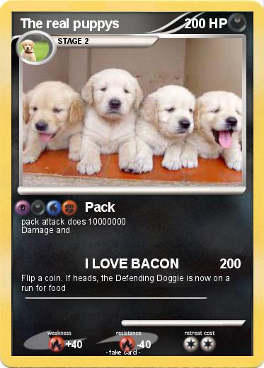 Pokemon The real puppys