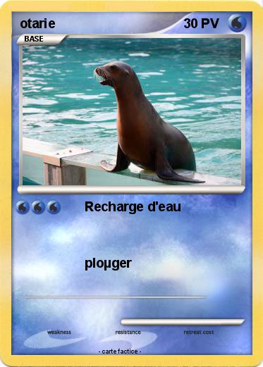Pokemon otarie